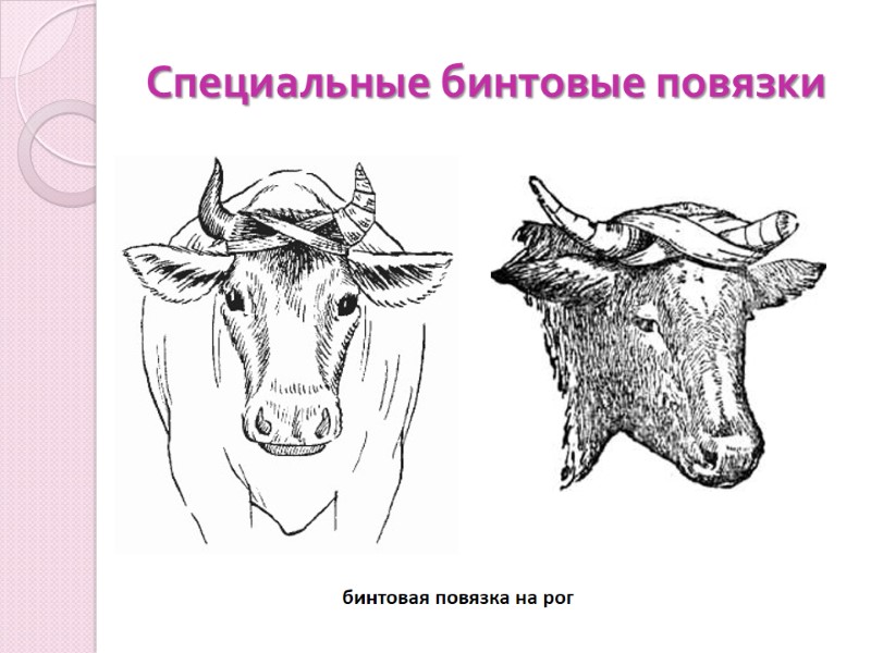 Специальные бинтовые повязки бинтовая повязка на рог